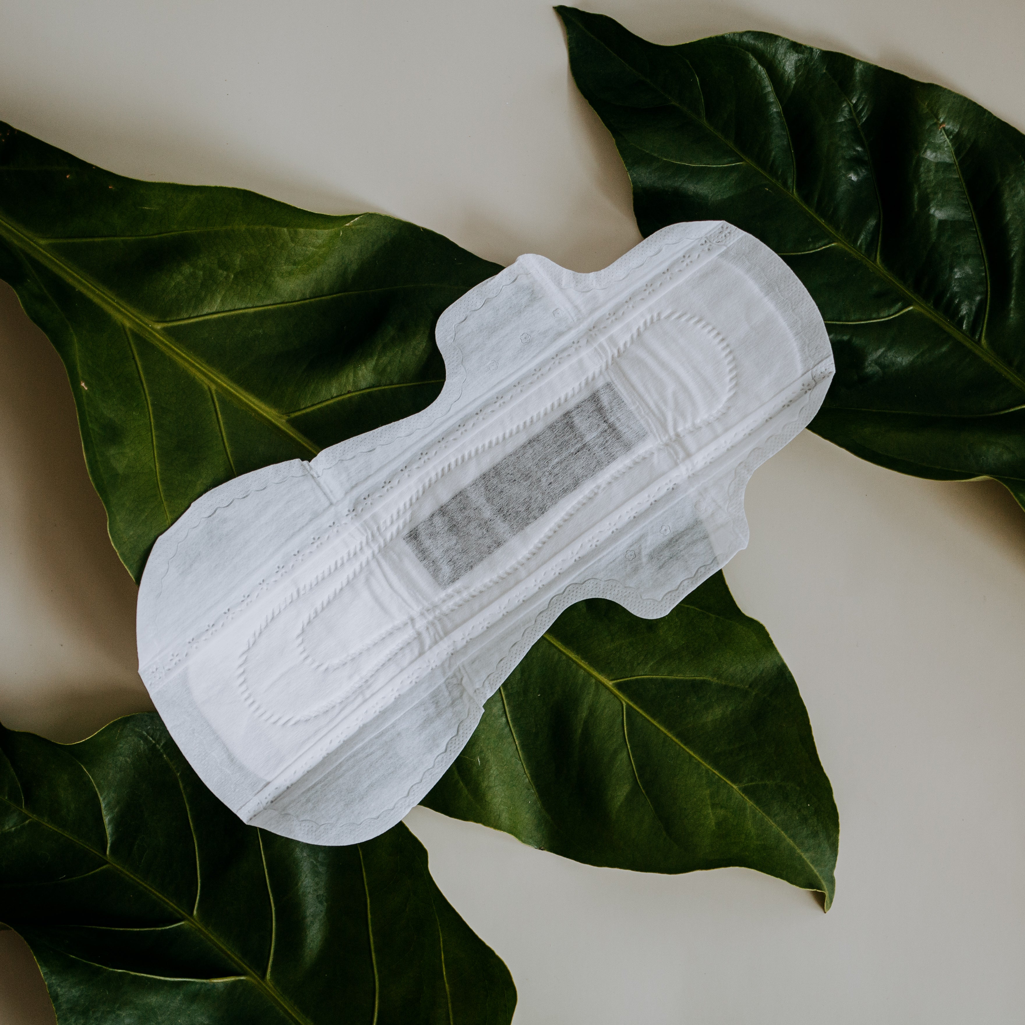 Eco-Friendly Period Care  Organic Cotton Pads, Liners & Tampons – BOBBLE